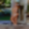 Adult Massachusetts swingers